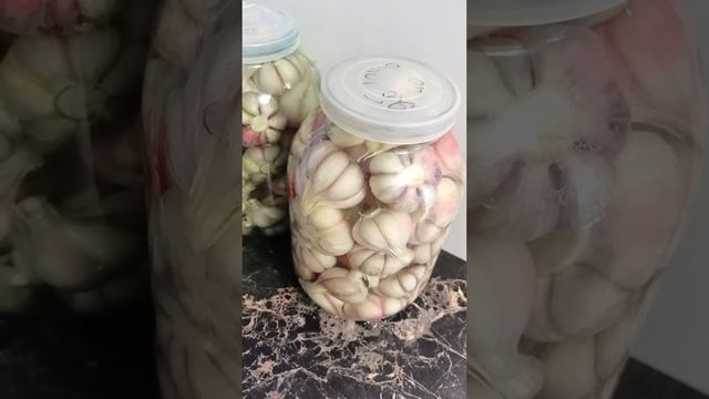 9 августа заквасила чеснок