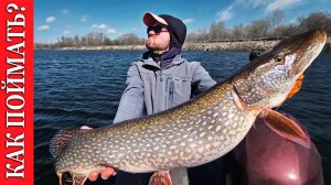 КАК ПОЙМАТЬ ХИЩНИКА? С ЭХОЛОТОМ И БЕЗ