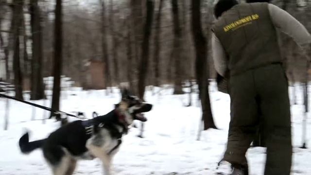 кусачки смотреть онлайн