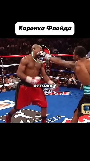 Коронка Флойда #мма #mma #попмма смотреть онлайн