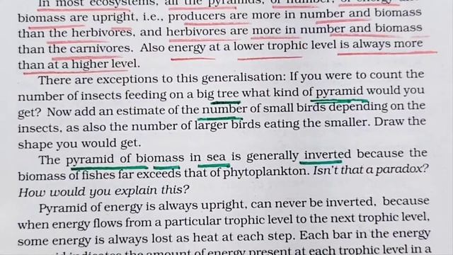 NCERT Line by Line ● Ecosystem ● NEET ■ Dr. Hariom Gangwar смотреть онлайн