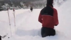 Лось бежит по снегу 😯