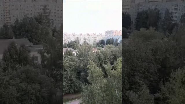 Странные , очень ГРОМКИЕ крики ворон за окном сегодня...29.06.2023г. СПб. смотреть онлайн