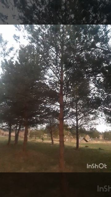 Люблю весну .mp4 смотреть онлайн