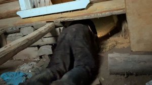 Не зря полез под пол заброшенного дома: изумительную вещь достал оттуда.