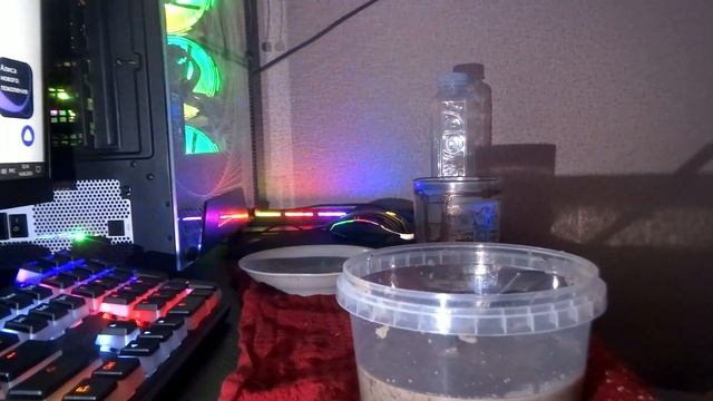 Суп-пюре с грибами,лобио и паштет из нута с жареными грибами.