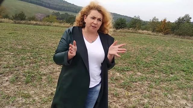 Регулятори росту на ріпаку. Технологія застосування: терміни, норми, діючі речовини. #ГалинаДзябяк смотреть онлайн