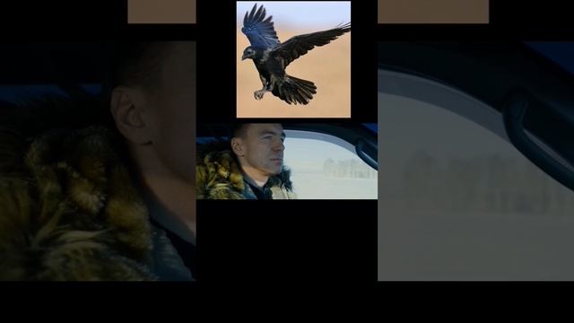 Максим ФАДЕЕВ & Григорий ЛЕПС - Орлы или вороны смотреть онлайн