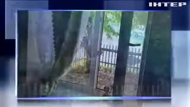 В Донецкой области взорвали частный дом смотреть онлайн