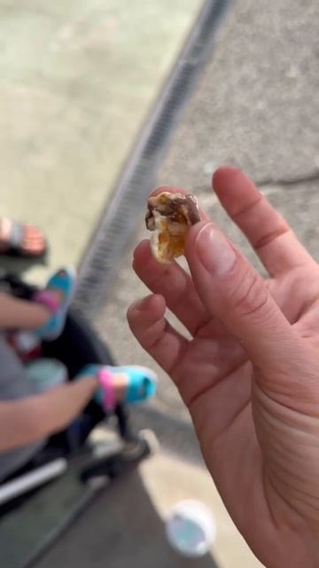 Попкорн «Сникерс», купила его в Майами, США. Не вкусно, просто попкорн со сладким жиром #США смотреть онлайн