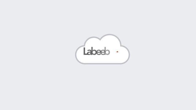 QMIC Labeeb™ IoT смотреть онлайн