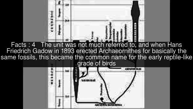 Sauriurae Top  #6 Facts