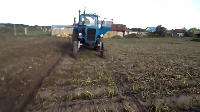 Копание картофеля смотреть онлайн