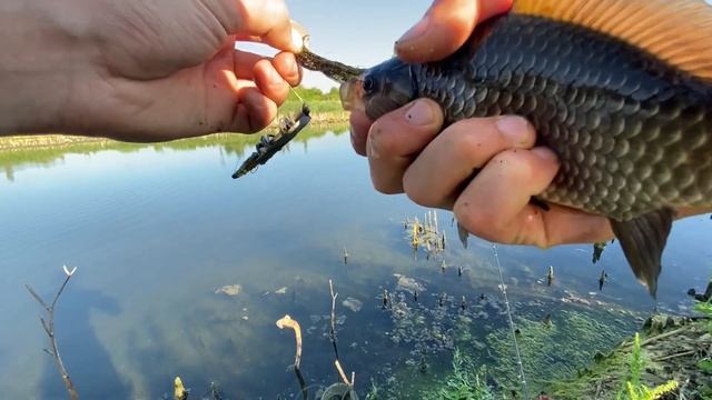 ‼️Карась на Флет⁉️ Очень много Карася 🤯✅ смотреть онлайн