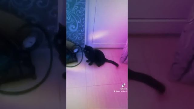 7.о6.2021__" П Е Р С Е Й "__!!! смотреть онлайн