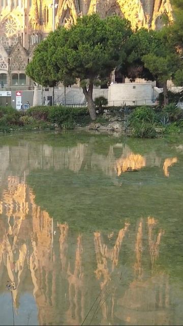 Лучшая локация для фото на фоне Саграда Фамилия в Барселоне #shorts #travel #гидвбарселоне смотреть онлайн