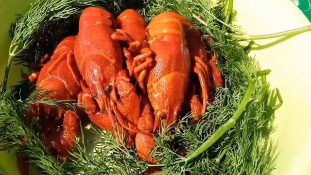 Шепот моря. Калейдоскоп красок.🧜♀️💖🌞 смотреть онлайн