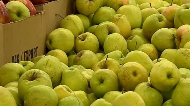 Время жить 10.05.14