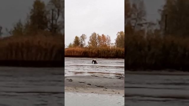 Бос лучше всех смотреть онлайн