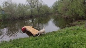 мост на бочках