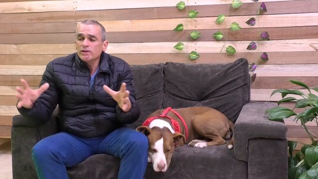 LO NUESTRO - LA HISTORIA DE PACHECO Y EL MILAGRO DEL BEATO JUAN BAUTISTA смотреть онлайн