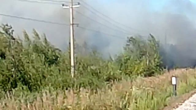 Пожар от тепловоза в Кингисеппе смотреть онлайн
