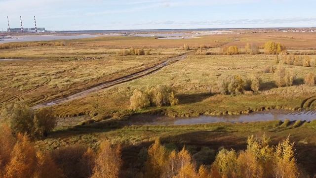 Dji mini 2. 1-7. Вездеходы 2. смотреть онлайн