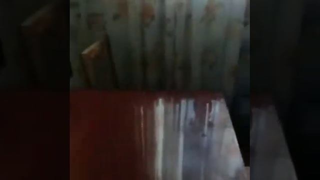Дезинсекция смотреть онлайн