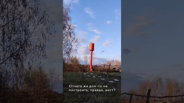 Аист прилетел!