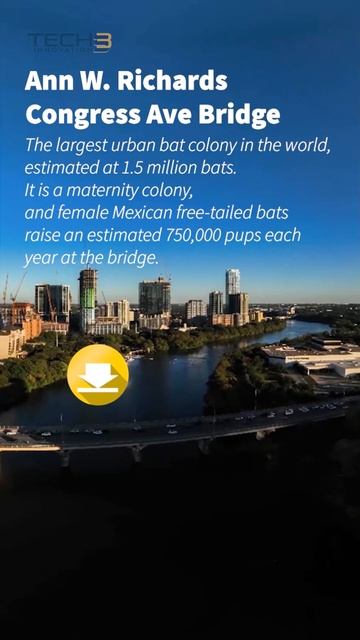 🌇 Sunset Serenity: 360° View Congress Ave Bridge Over Bird Lake 🌉 Downtown Austin, TX #shorts смотреть онлайн