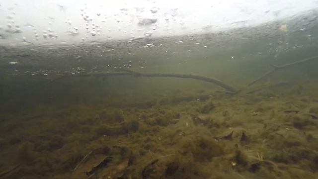 Natural aquarium under the ice, подо льдом смотреть онлайн