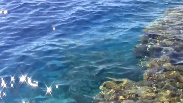 Красота красного моря. Спасибо компании за поездку! смотреть онлайн