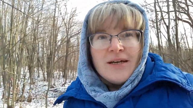 Приветствую с Анисьиных грядок. Зима в лесу. смотреть онлайн