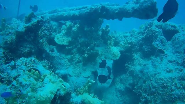Outhouse Beach Guam SCUBA 20MAR22 смотреть онлайн