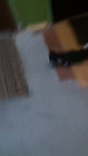 Исчезновение кота в никуда