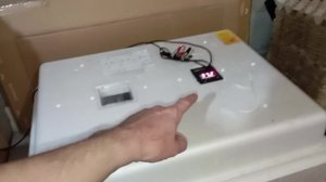 Инкубатор Несушка процент вывода цыплят