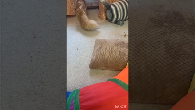 Так начинается каждое утро, пока мама в отпуске смотреть онлайн