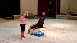 уголок дедушки Дурова