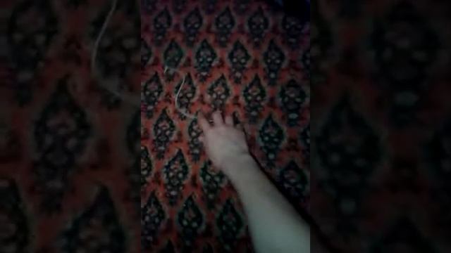 Мой кот Чёрный плащ смотреть онлайн