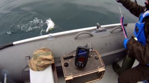 Троллинг Симы в Приморском крае 2024.