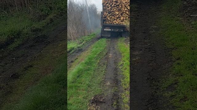 ЗИЛ застрял в грязи. ПЕРЕВЕРНУЛСЯ? Перевозил доски. смотреть онлайн