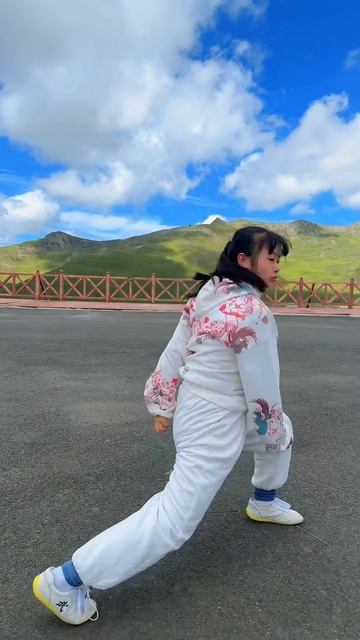 Боевые искуства Китая (162) смотреть онлайн