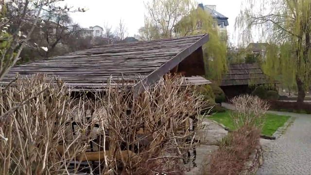 Трускавець 2022: тварини і птахи на території Карпат, Підгір'я смотреть онлайн