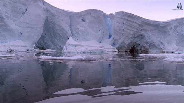 Adventures by Disney * ANTARCTICA * Expedition Cruise * Ponant Le Lyrial * Our Trip at a Glance * смотреть онлайн