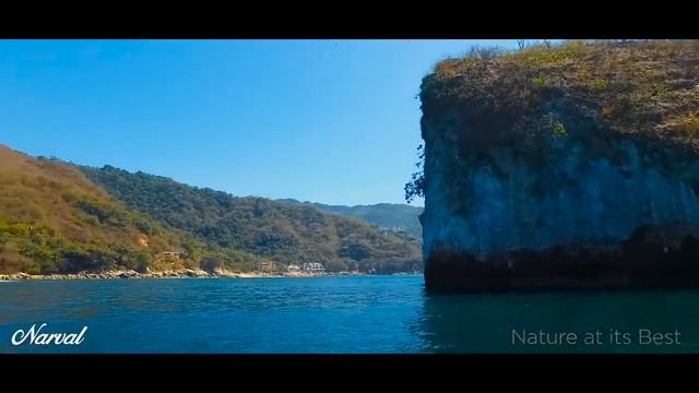 Narval - Bucerias Living! смотреть онлайн