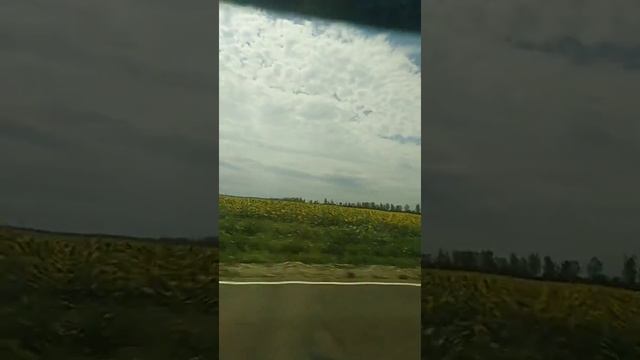 Наш отдых на море смотреть онлайн