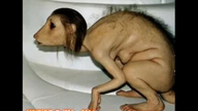 Обнаружено неизвестное существо!!!
