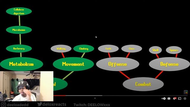 Sloths Are A Underrated Animal смотреть онлайн