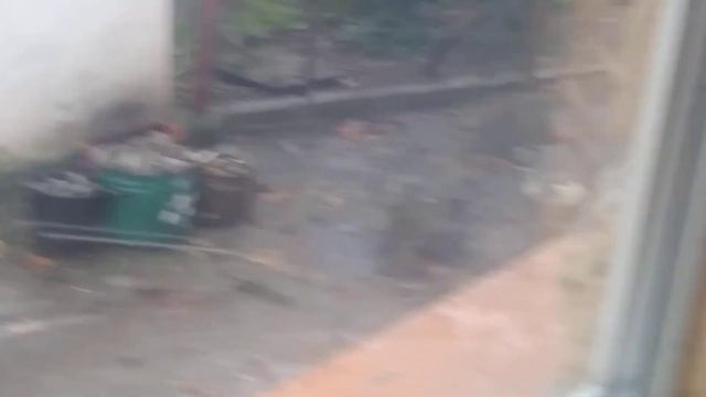 Утаки и Утки Под Дождь купаются 😂😂😂)))