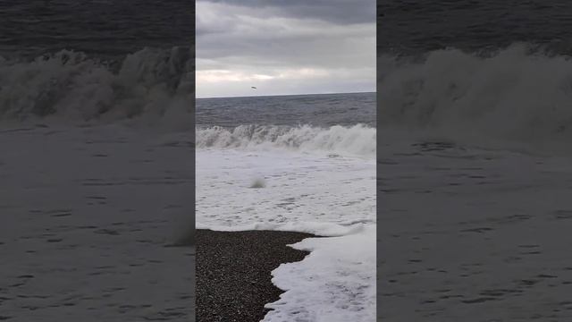 Здравствуй Сочи, пусть октябрь, но мы любим море, вперед на заплыв. смотреть онлайн